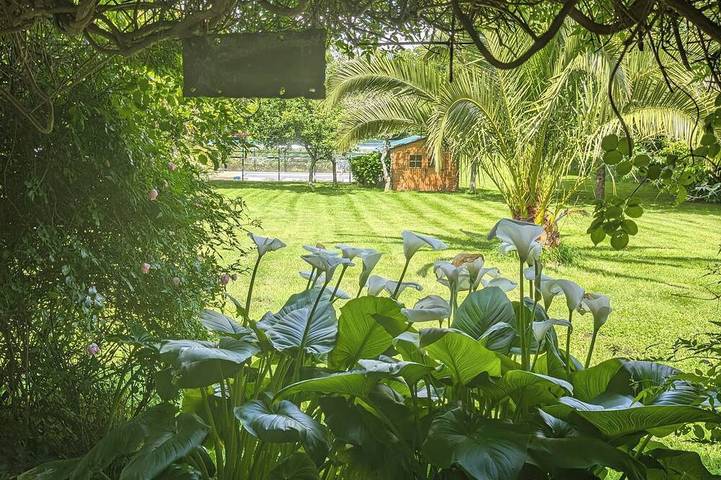 Gîte pour 5 personnes, avec sauna ainsi que piscine et jacuzzi à Lanvellec - 4