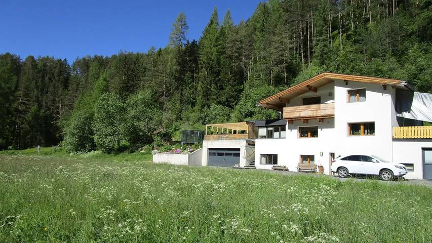 Ferienwohnung für 4 Personen, mit Terrasse, mit Haustier in Niederthai - 2