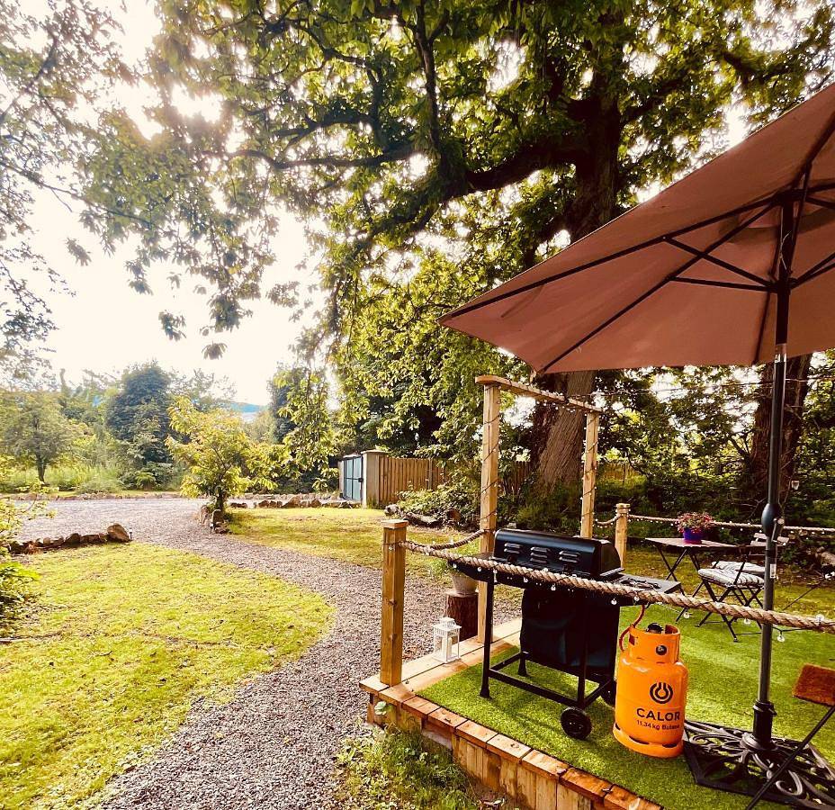 Tent in County Wicklow