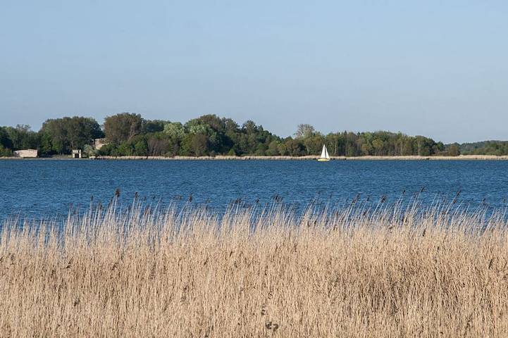 Cottage für 4 Personen, mit Garten in Ribnitz-Damgarten - 4