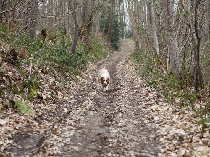 Location de vacances pour 4 personnes, avec terrasse à Marais-Vernier (Eure) - 4