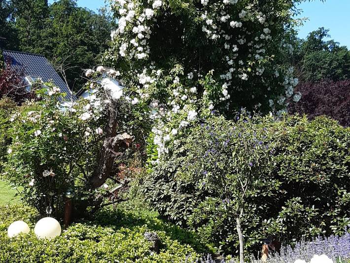 Ganze Ferienwohnung, Ferienwohnung Kuhnert - Fewo Kuhnert in Schieder, Schieder-Schwalenberg
