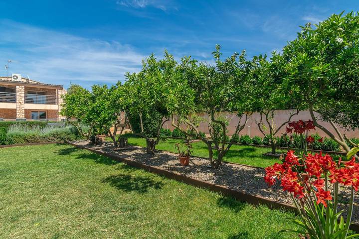 Finca Castillo - Spectacular country house with private pool - Free Wifi in Manacor, East Majorca