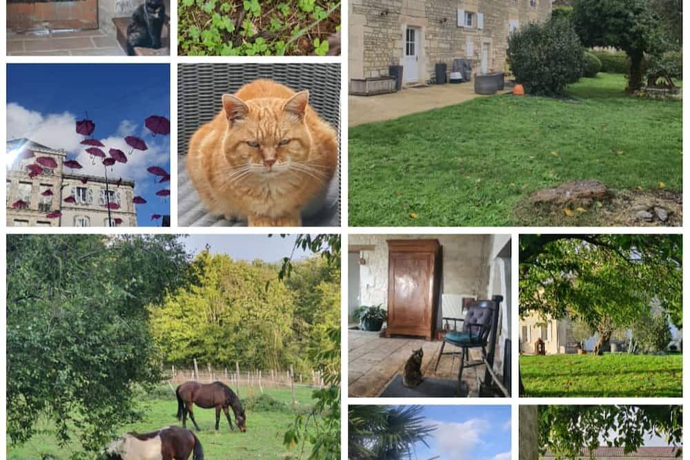 Beautiful chambre d'hote in a bucolic setting with private terrace & heated pool in Auzay, Fontenay-le-Comte