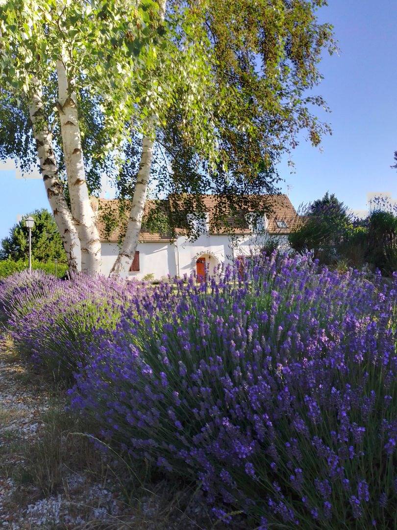 Chambre d'hôtes 3 à 5 personnes, petit déjeuner inclus - Suite parentale in Gressey, Yvelines