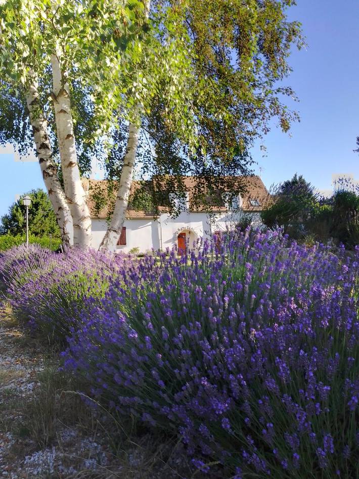 Chambre d’hôte pour 3 personnes, avec jardin