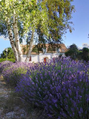 Chambre d’hôte pour 3 personnes, avec jardin dans Yvelines