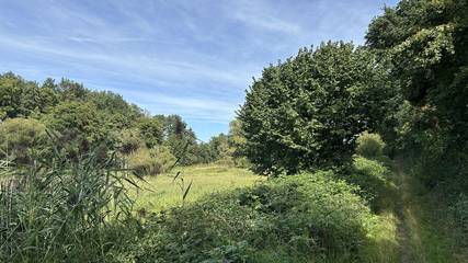 Vakantiewoning voor 4 Personen in Fürth, Middel-Franken, Afbeelding 4