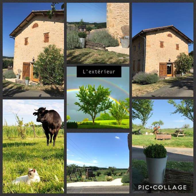 Location de vacances pour 6 personnes, avec jardin et terrasse à Le Buisson-de-Cadouin - 4