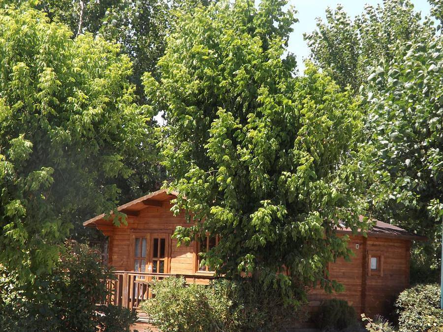 Camping les Peupliers - Chalet 4 personas - 1 habitación de 25m². in Colombiers, Côte d'Améthyste