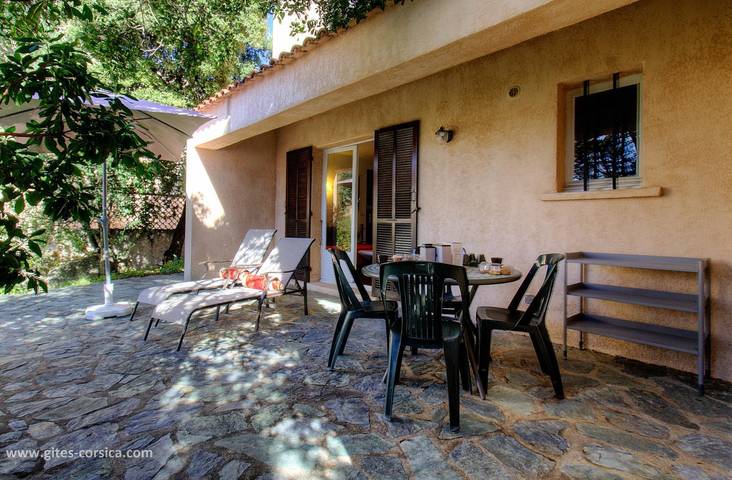 La Mimosa in Lumio, Région de Calvi
