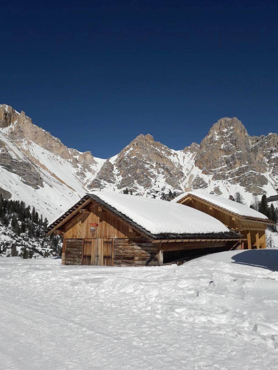 Ganze Wohnung, Ciasa Odlina in La Villa, Abtei