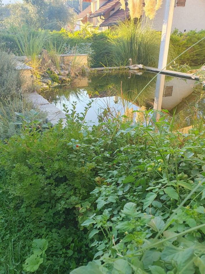 Chambre d’hôte pour 2 personnes, avec jardin en Savoie - 4