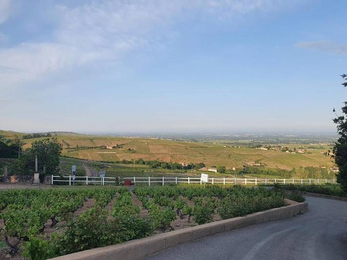 Location de vacances pour 2 personnes, avec vue et terrasse à Chiroubles - 3