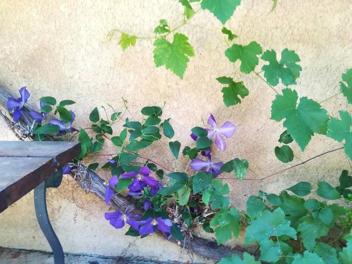 Location de vacances pour 4 personnes, avec jardin à Verneuil-sur-Avre - 3