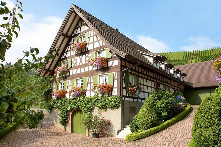 Gîte pour 4 personnes, avec jardin et terrasse à Durbach