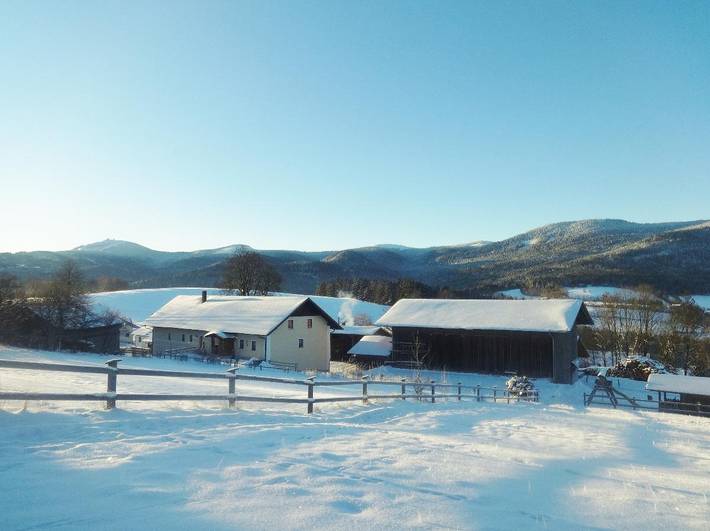 Bauernhof für 4 Personen, mit Garten, kinderfreundlich im Bayerischer Wald - 2