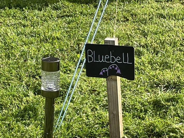 Glamping for 6 people, with Garden in Norwich