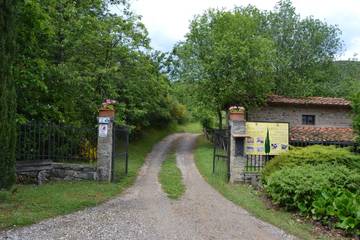 Agriturismo voor 3 Personen in Castelfranco Piandiscò, Valdarno, Afbeelding 3
