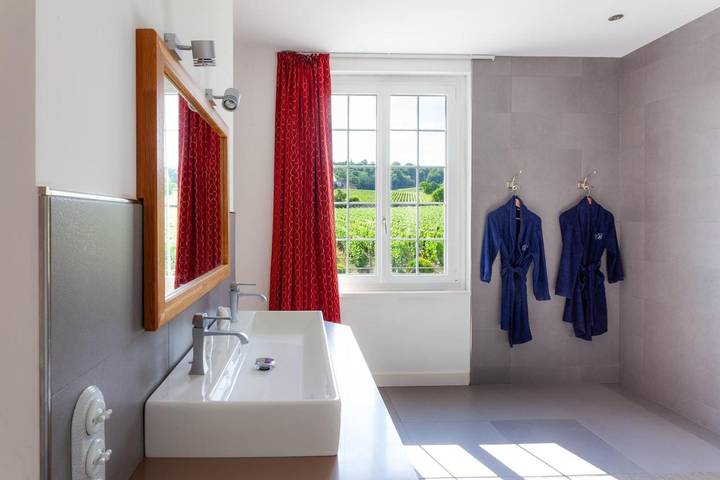 Chambre d’hôte pour 13 personnes, avec jardin et vue, animaux acceptés à Vertus - 2