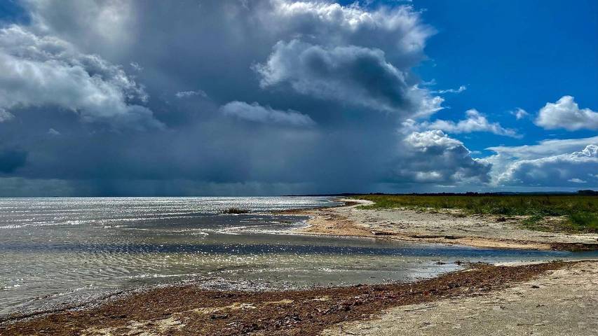 Ferienhaus für 5 Personen, mit Terrasse in Aalbæk - 4
