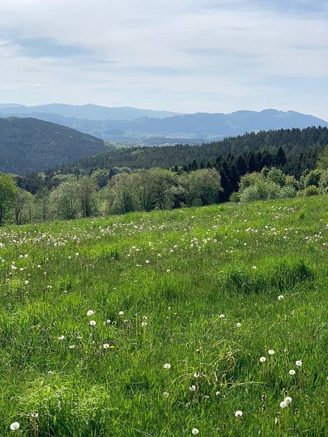 Bauernhof für 2 Personen, mit Balkon/Terrasse und Terrasse sowie Garten