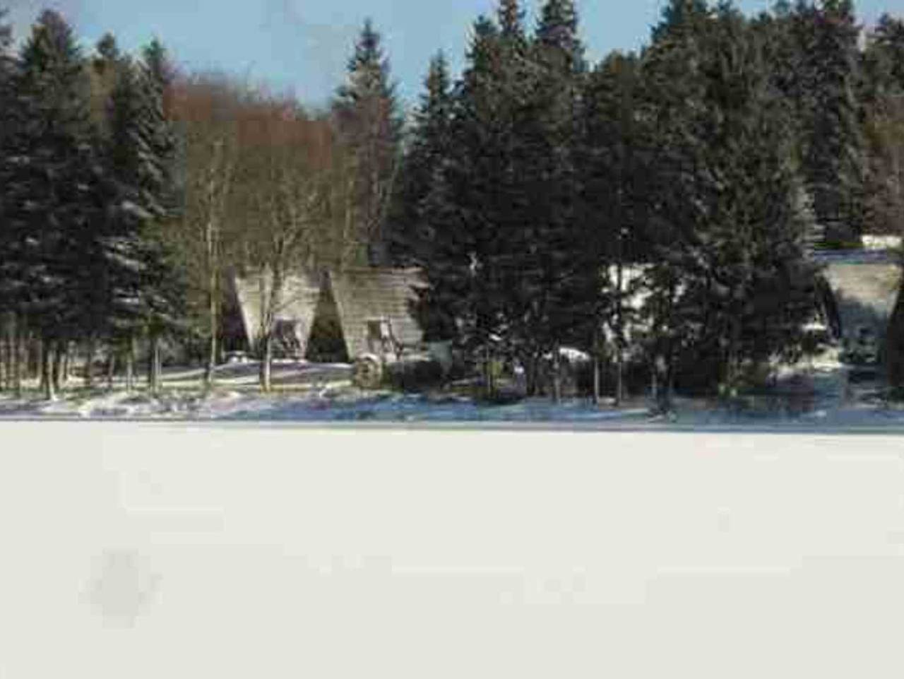 Waldsee Feriendienst - Kaminhaus 30.57 in Clausthal-Zellerfeld, Harzvorland