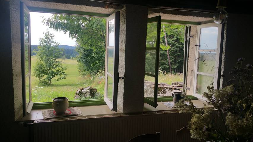 Gîte pour 6 personnes, avec vue sur le lac ainsi que jardin et terrasse, animaux acceptés à Chapelle-des-Bois - 4