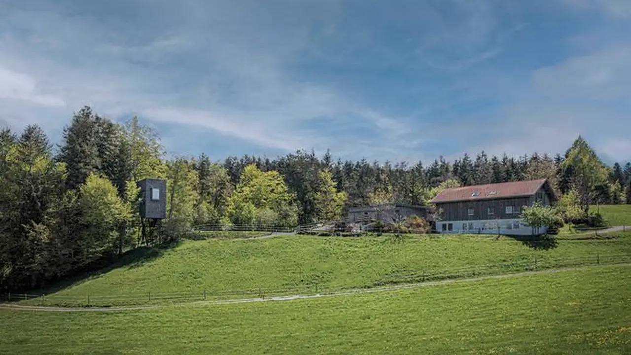 Ferienhaus für 4 Personen (50 m²) in Sulzberg in Sulzberg (Österreich), Bodensee-Vorarlberg