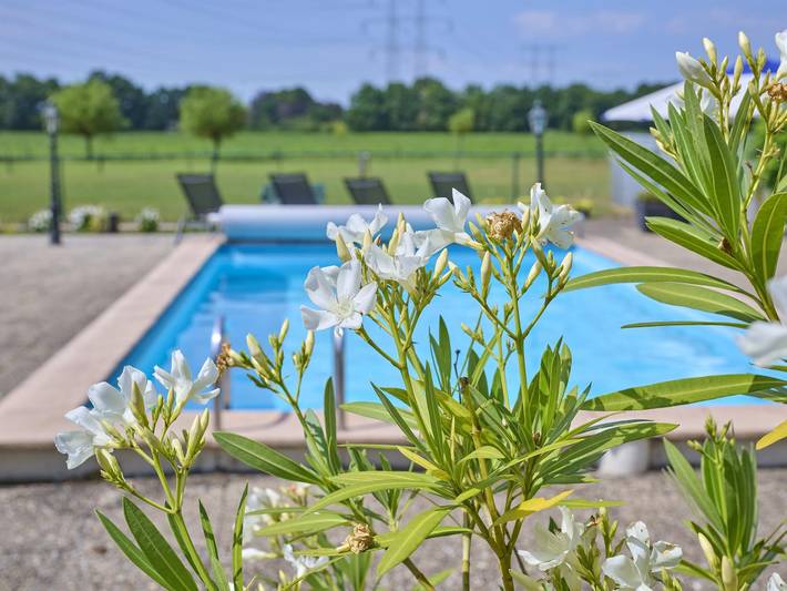 Location de vacances pour 4 personnes, avec terrasse ainsi que jardin et piscine à Oisterwijk