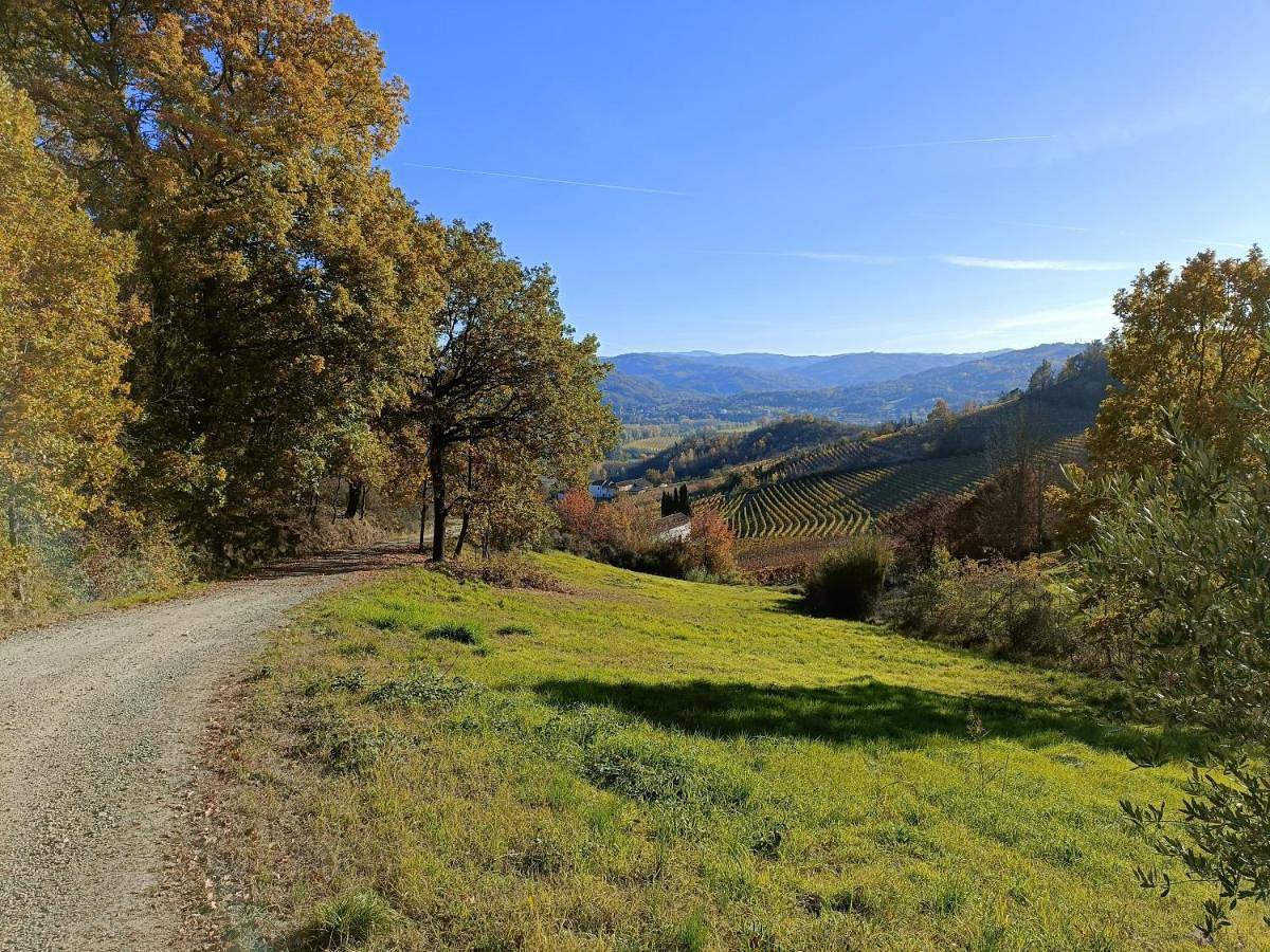 B&B La Piccola Lepre in Acqui Terme, Province d'Alexandrie