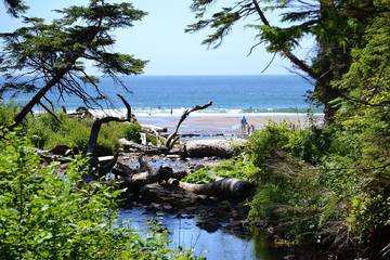 Vacation House for 12 Guests in Seaside (Oregon), Clatsop County, Picture 1