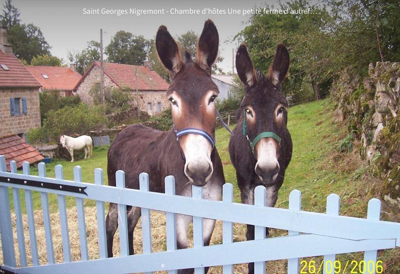 La Petite Ferme d'Autrefois in Saint-Georges-Nigremont, Parc Naturel Régional de Millevaches en Limousin