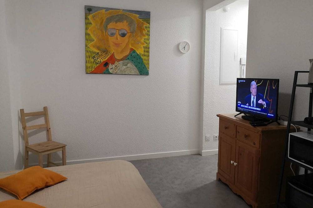 Garden-facing studio in Grenoble's lower town center in Grenoble, Isère