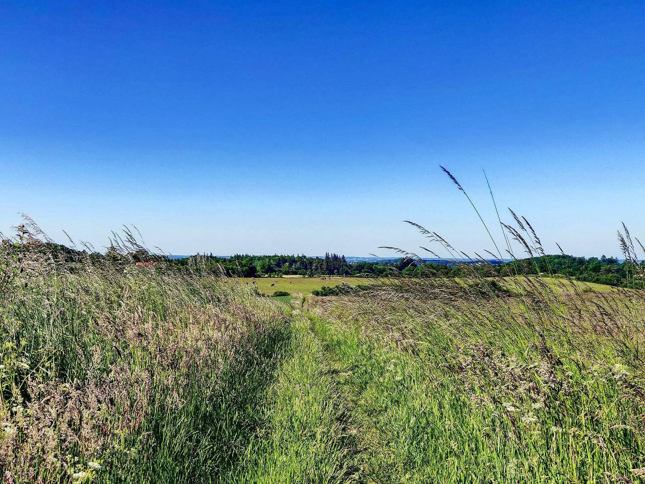 4 Personen Ferienhaus in Millinge-By Traum in Millinge, Kleiner Belt