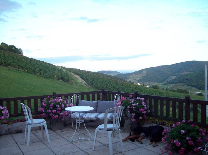 Chambre d’hôte pour 4 personnes, avec jardin dans Rhône - 3
