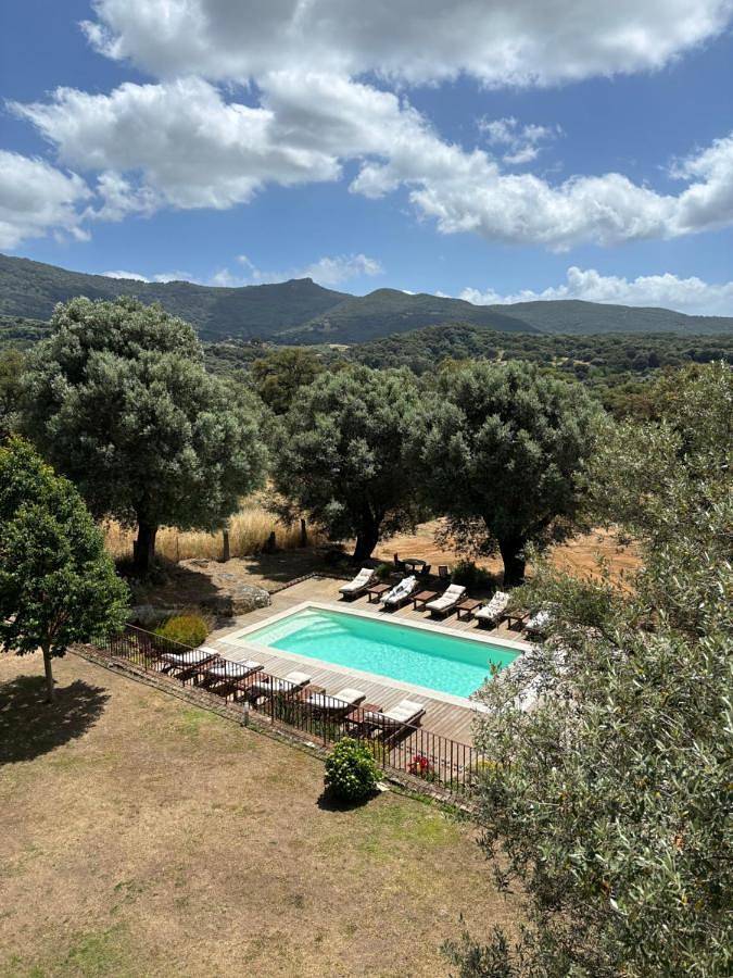 Location de vacances pour 15 personnes, avec piscine ainsi que jardin et jacuzzi à Sollacaro - 4