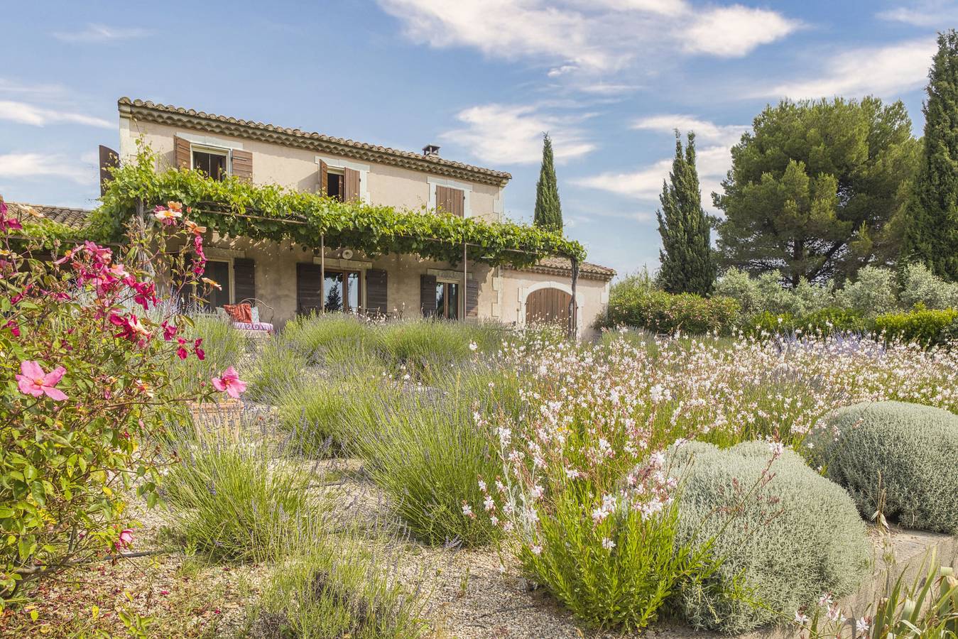 Mas de Lavande in Saint-Rémy-de-Provence, Région d'Arles