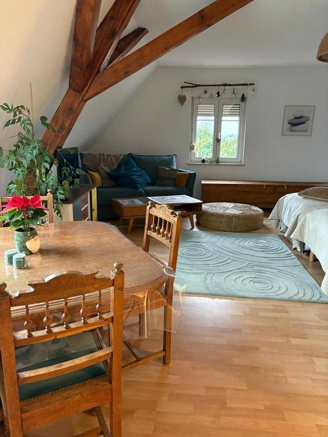Gîte pour 5 personnes, avec vue et balcon, animaux acceptés à Uffholtz - 4