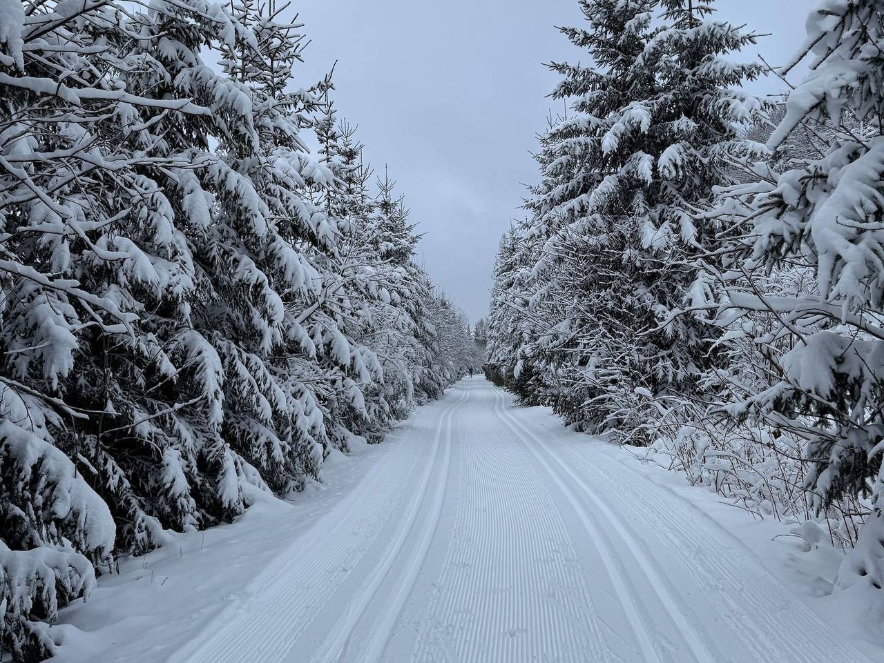 Harzverliebt - Harzverliebt in Altenau, Harzvorland