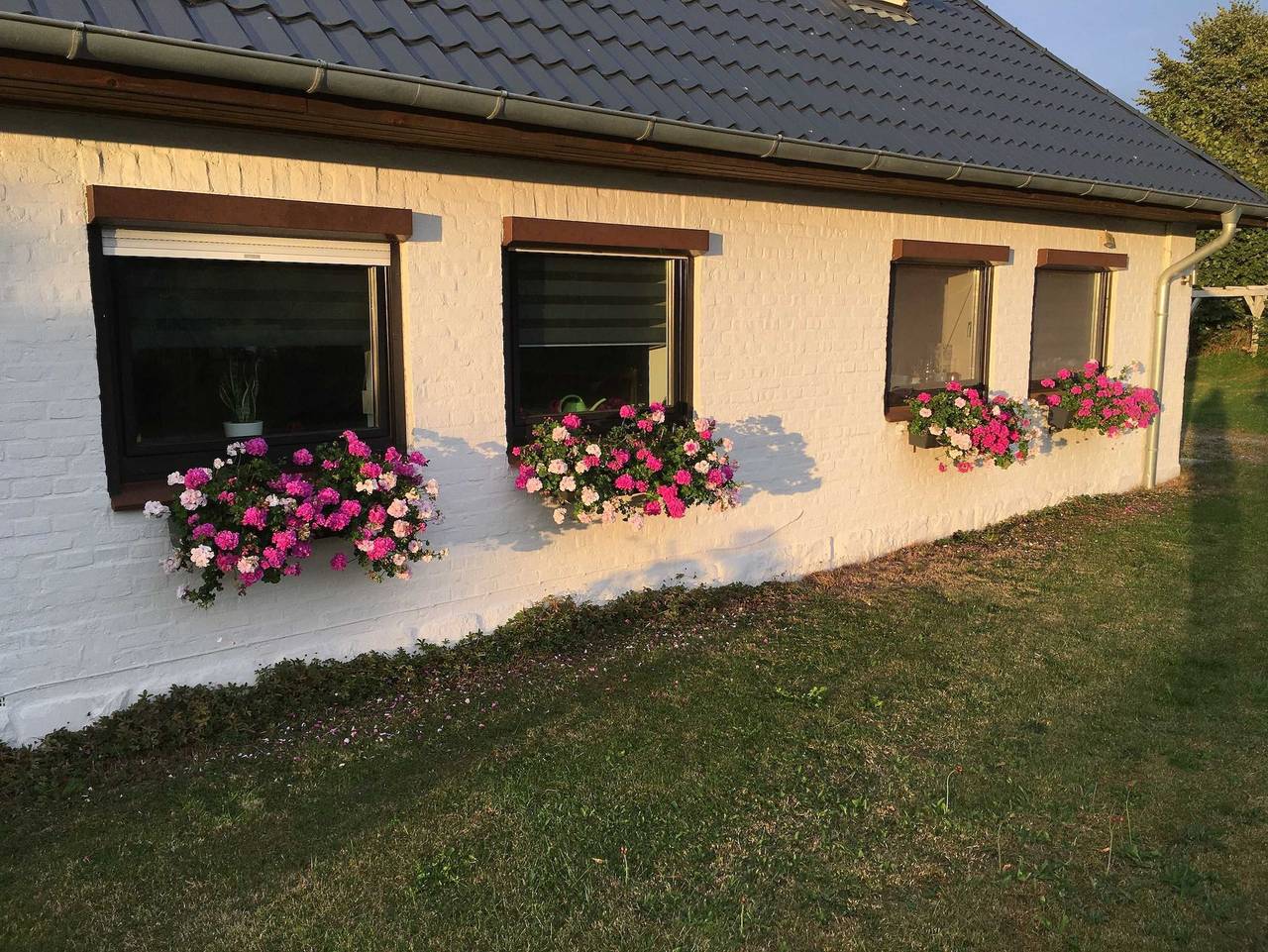 Ganze Ferienwohnung, Fewo Altharmhorst - Fewo-Altharmhorst in Kirchnüchel, Südliche Ostseeküste