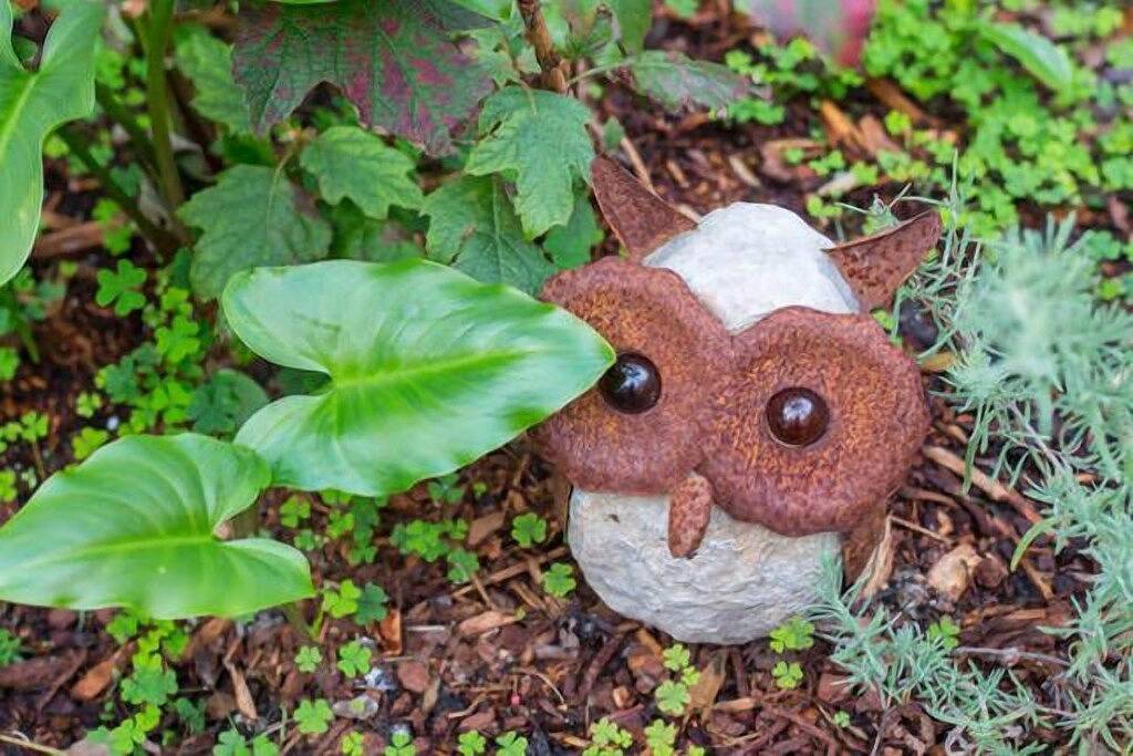 Jane Cottage 1855 - Tasmanien in Hobart, Tasmanien