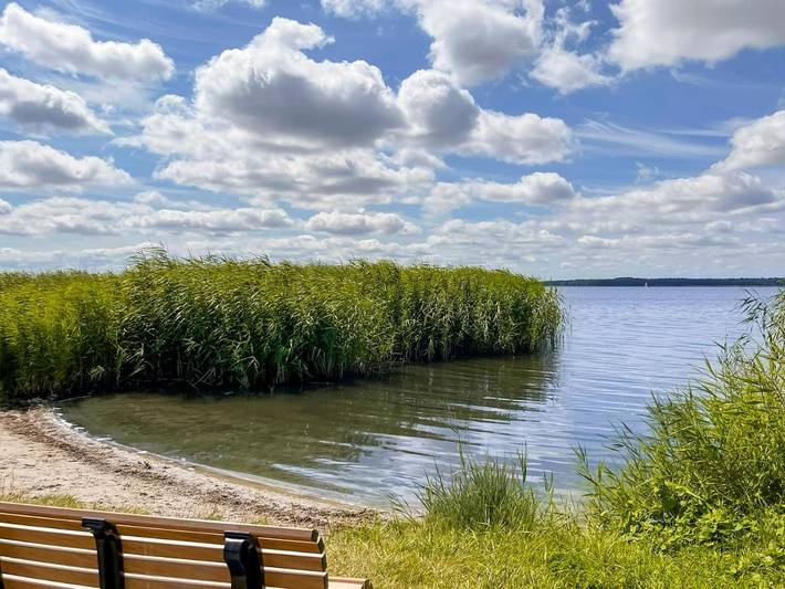 Ferienhaus für 6 Personen, mit Terrasse und Garten sowie Sauna in Rankwitz - 3