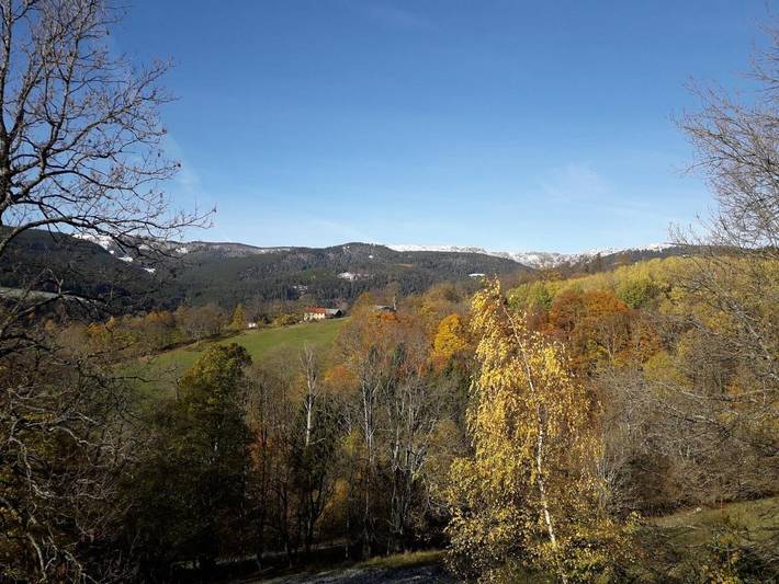 Ferienhaus für 3 Personen, mit Terrasse und Ausblick, mit Haustier im Elsass - 3