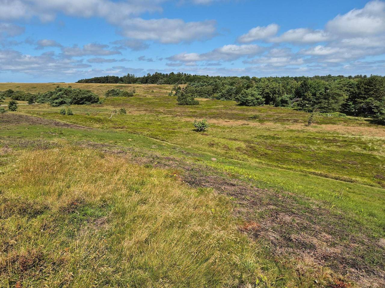 Ruhiger Ruckzugsort in Rageleje-By Traum in Vejby, Kattegat Küste