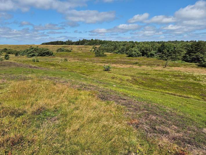 Ferienhaus für 4 Personen, mit Garten, kinderfreundlich an der Kattegat Küste - 4