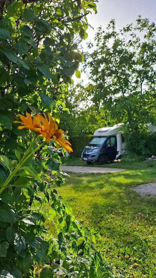 Campingrosengarten in Cserszegtomaj, Keszthely region