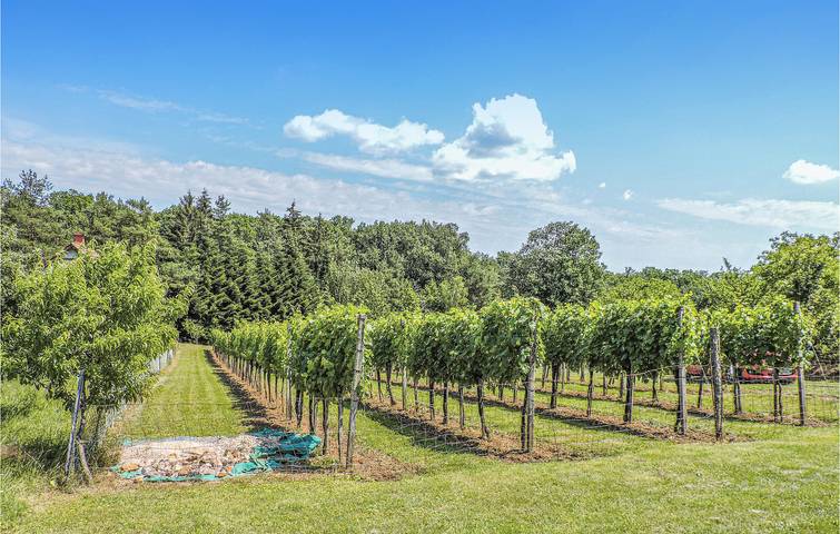 Ferienhaus für 4 Personen mit Garten in Südburgenland
