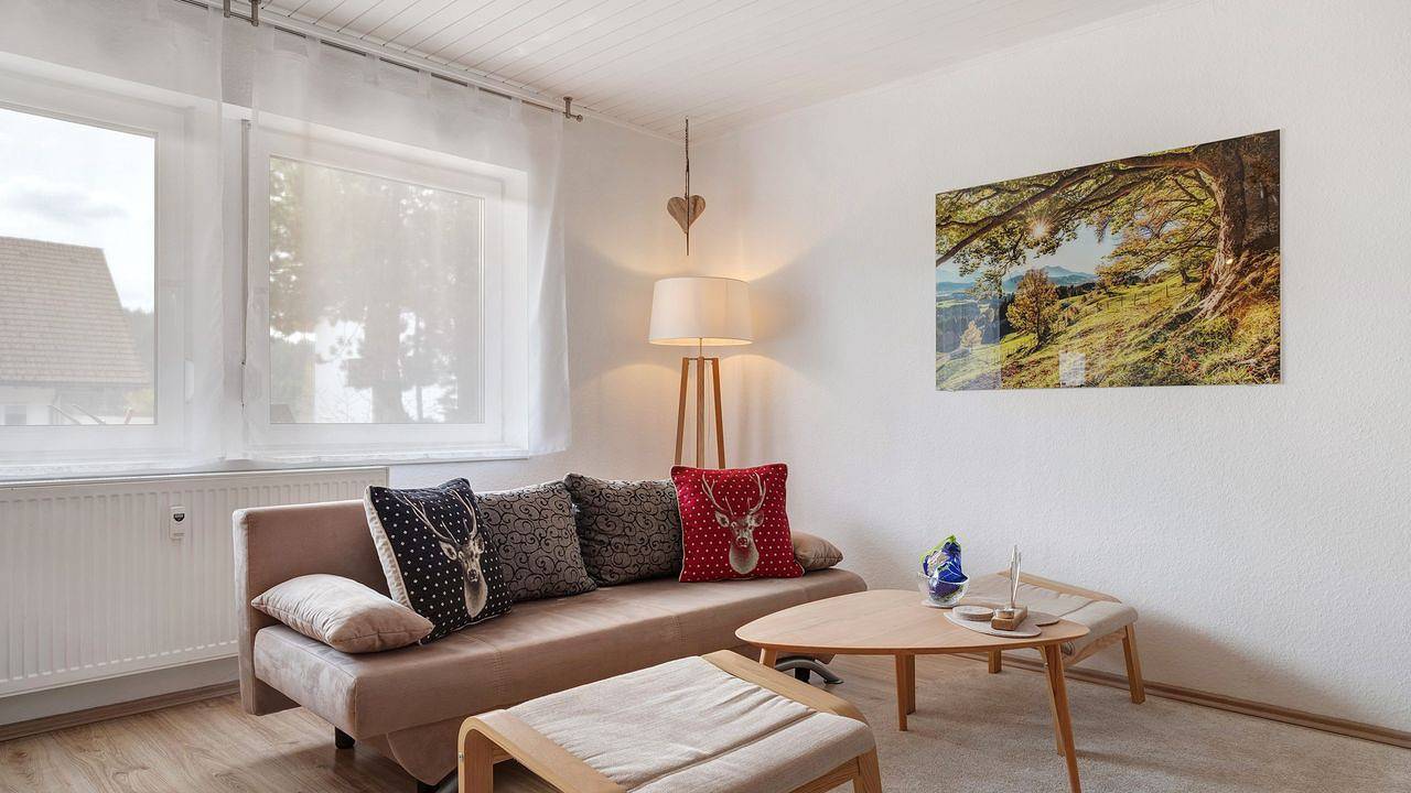 Ganze Ferienwohnung, Ferienwohnung für 3 Personen (49 m²) in Feldberg (Hochschwarzwald) in Suedlicher Schwarzwald, Feldberg