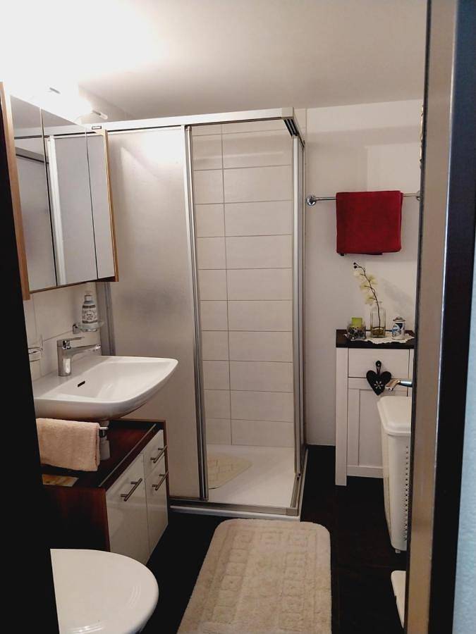 Gîte pour 2 personnes, avec jardin et vue à Täsch - 4